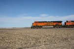 BNSF 5545